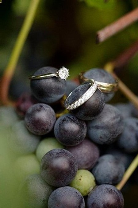 Image of wedding rings on a bunch of grapes