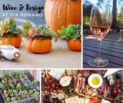 Wine & Design | Botanical Succulents