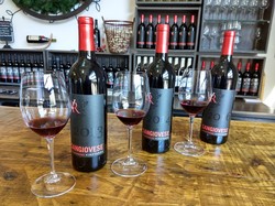 Sangiovese Pre-Release Party ~ Club Only Image